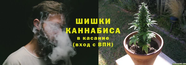 крисы Богородицк
