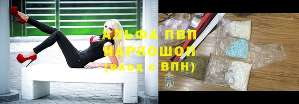 крисы Богородицк