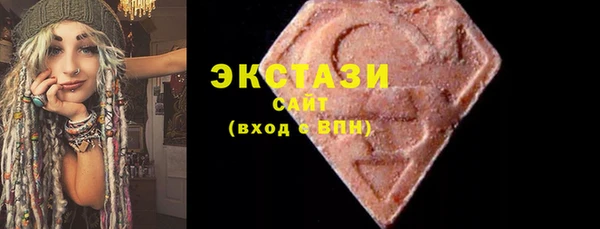 крисы Богородицк