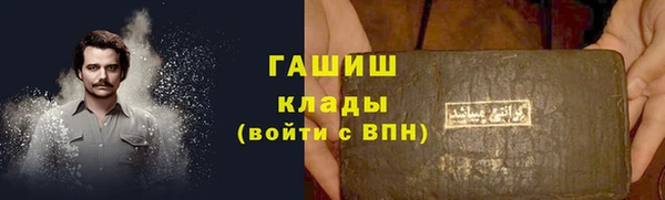 ПСИЛОЦИБИНОВЫЕ ГРИБЫ Богданович