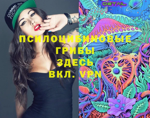 ПСИЛОЦИБИНОВЫЕ ГРИБЫ Богданович