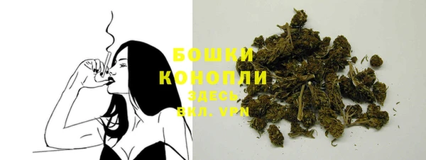 ПСИЛОЦИБИНОВЫЕ ГРИБЫ Богданович