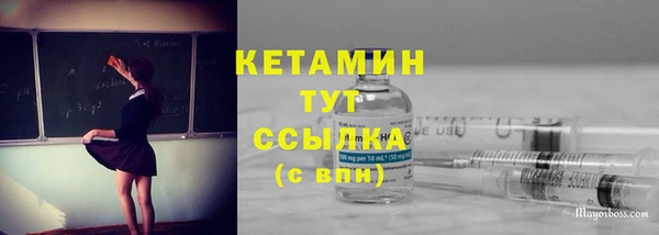 ПСИЛОЦИБИНОВЫЕ ГРИБЫ Богданович
