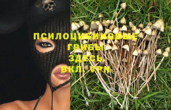 ПСИЛОЦИБИНОВЫЕ ГРИБЫ Богданович