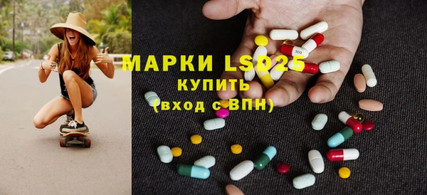крисы Богородицк