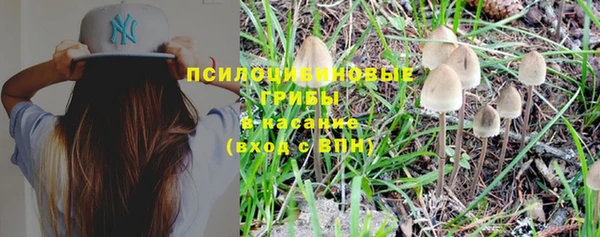 ПСИЛОЦИБИНОВЫЕ ГРИБЫ Богданович