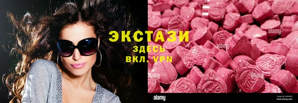 крисы Богородицк
