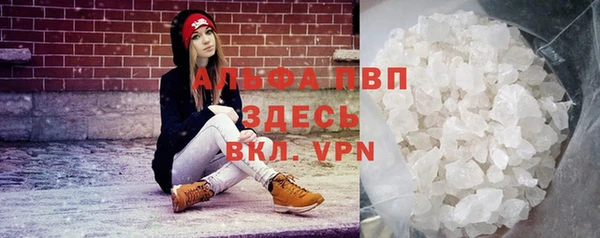 ПСИЛОЦИБИНОВЫЕ ГРИБЫ Богданович