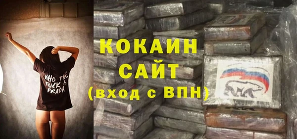 крисы Богородицк
