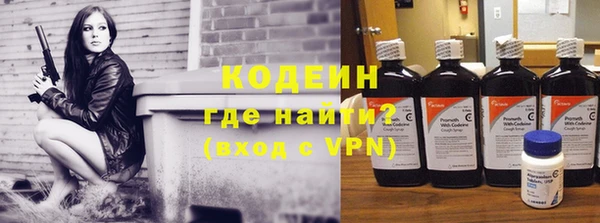 крисы Богородицк